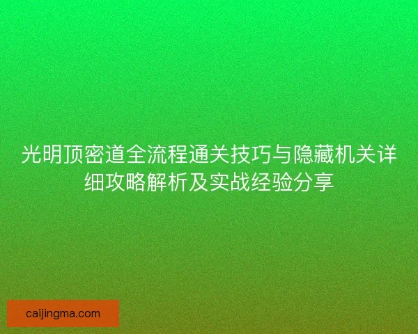 光明顶密道全流程通关技巧与隐藏机关详细攻略解析及实战经验分享