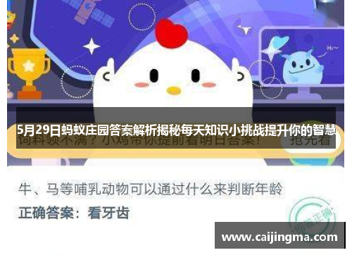 5月29日蚂蚁庄园答案解析揭秘每天知识小挑战提升你的智慧
