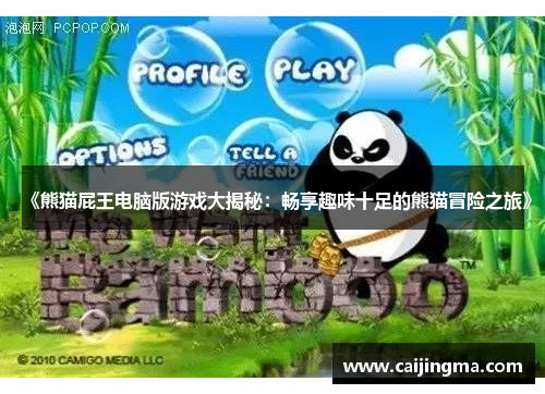 《熊猫屁王电脑版游戏大揭秘：畅享趣味十足的熊猫冒险之旅》