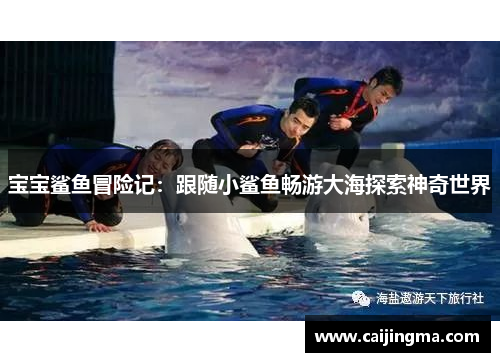 宝宝鲨鱼冒险记：跟随小鲨鱼畅游大海探索神奇世界
