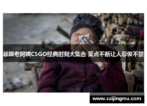 暴躁老阿姨CSGO经典时刻大集合 笑点不断让人忍俊不禁