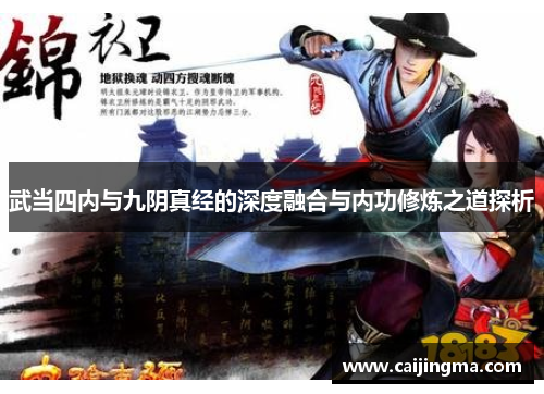武当四内与九阴真经的深度融合与内功修炼之道探析