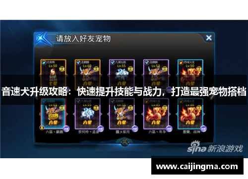 音速犬升级攻略：快速提升技能与战力，打造最强宠物搭档